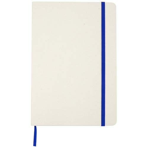 PF107365-3Bass A5 recyceltes Notizbuch_ liniert_ royalblau