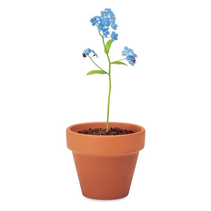 MO6146-40Forget Me Not Terracotta-Topf Vergissmeinnich_ Holz