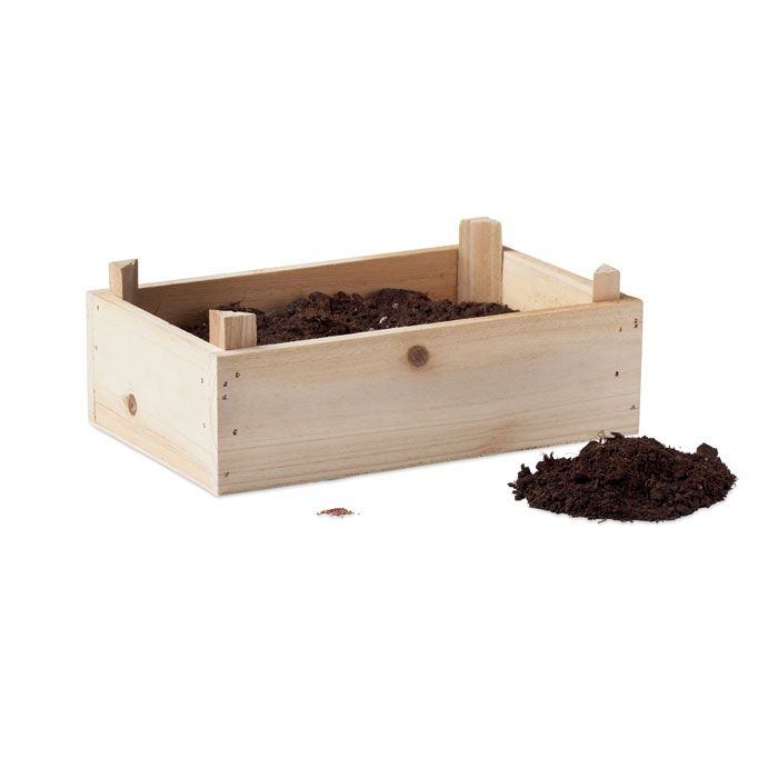 MO6506-40Strawberry Saat-Set Erdbeere_ Holz