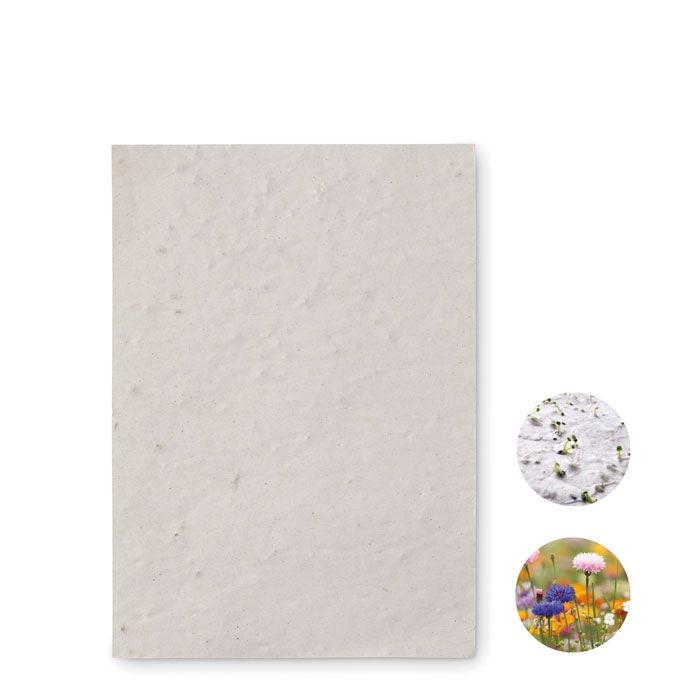 MO6916-06Asido DIN A6 Wildblumen-Samenpapier_ weiss