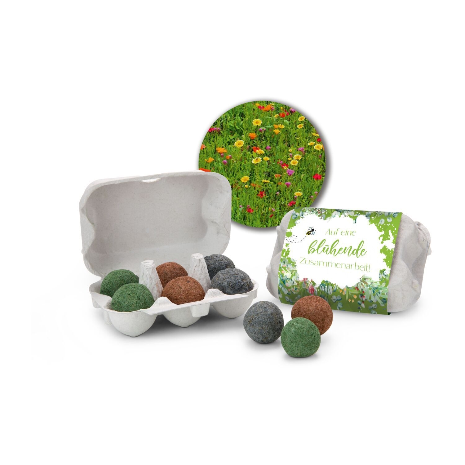 RP2055Bienenweide im Eierkarton 'Bluehende Zusammenarbeit' RP2055Bienenweide im Eierkarton 'Bluehende Zusammenarbeit'