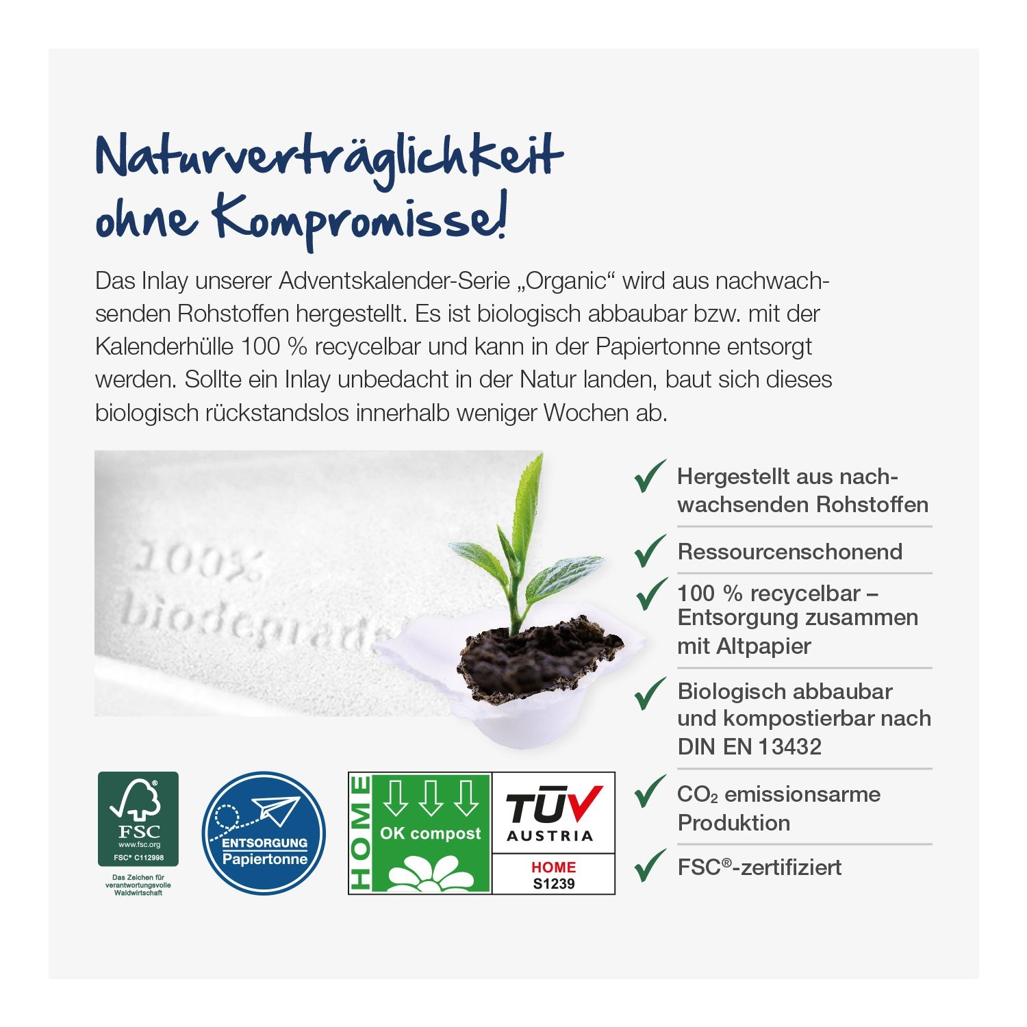 Adventshaus Lindt „Edition“ Organic, Motiv-Vorlage