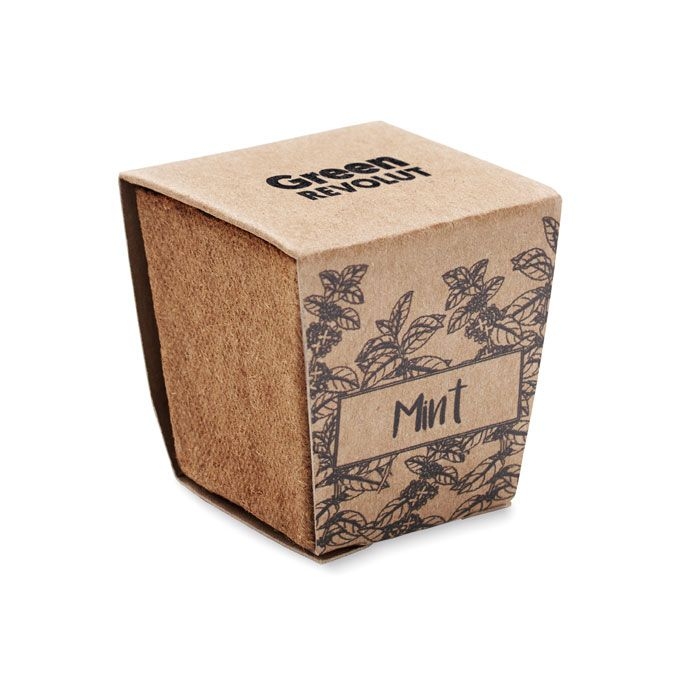 MO2410-13Mint Kit Pflanz-Set Minze_ beige