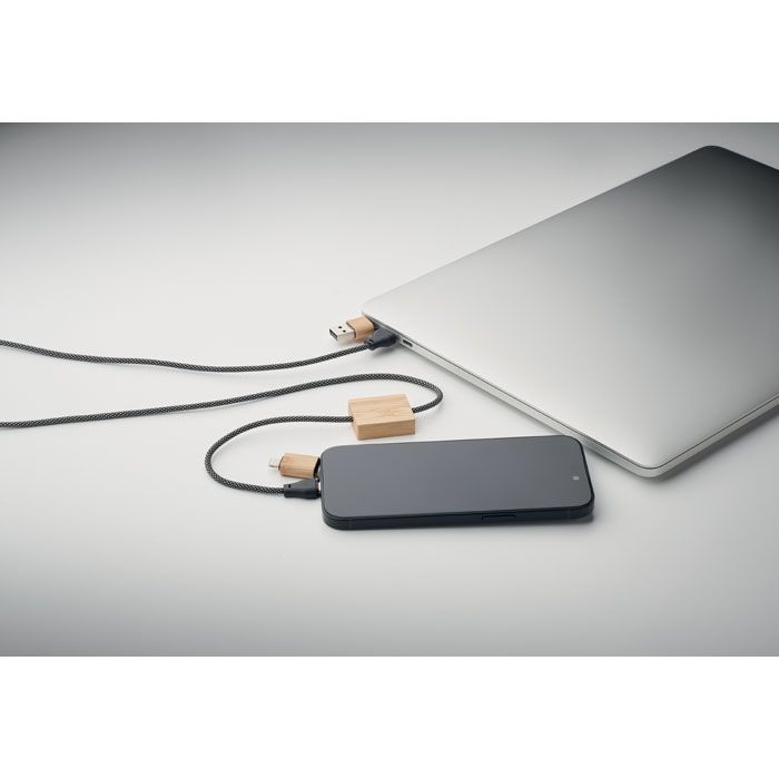 MO2520-40Caboo 60W Ladekabel_ holz