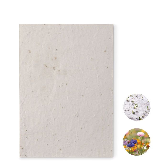 Aside DIN A5 Wildblumen-Samenpapier