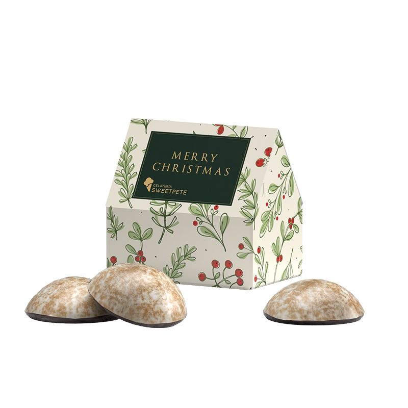 JG20049Lebkuchen Haus