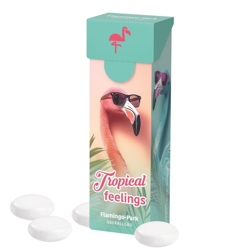 JG10266-2Slim Box Mentos_ Mentos Kaudragees Mint