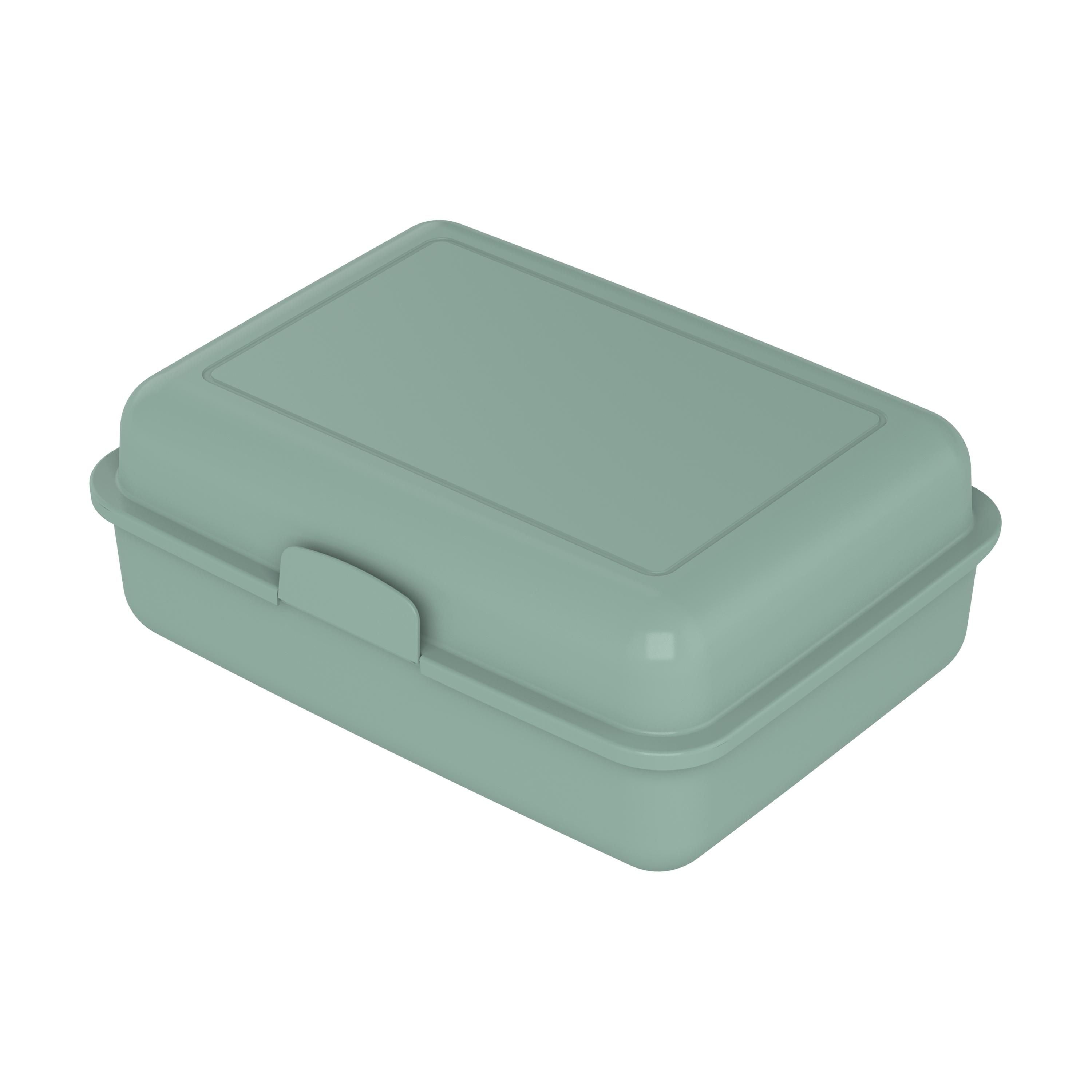 EL15236-5Bio-Vorratsdose _School-Box_ gross_ minze EL15236-5Bio-Vorratsdose _School-Box_ gross_ minze