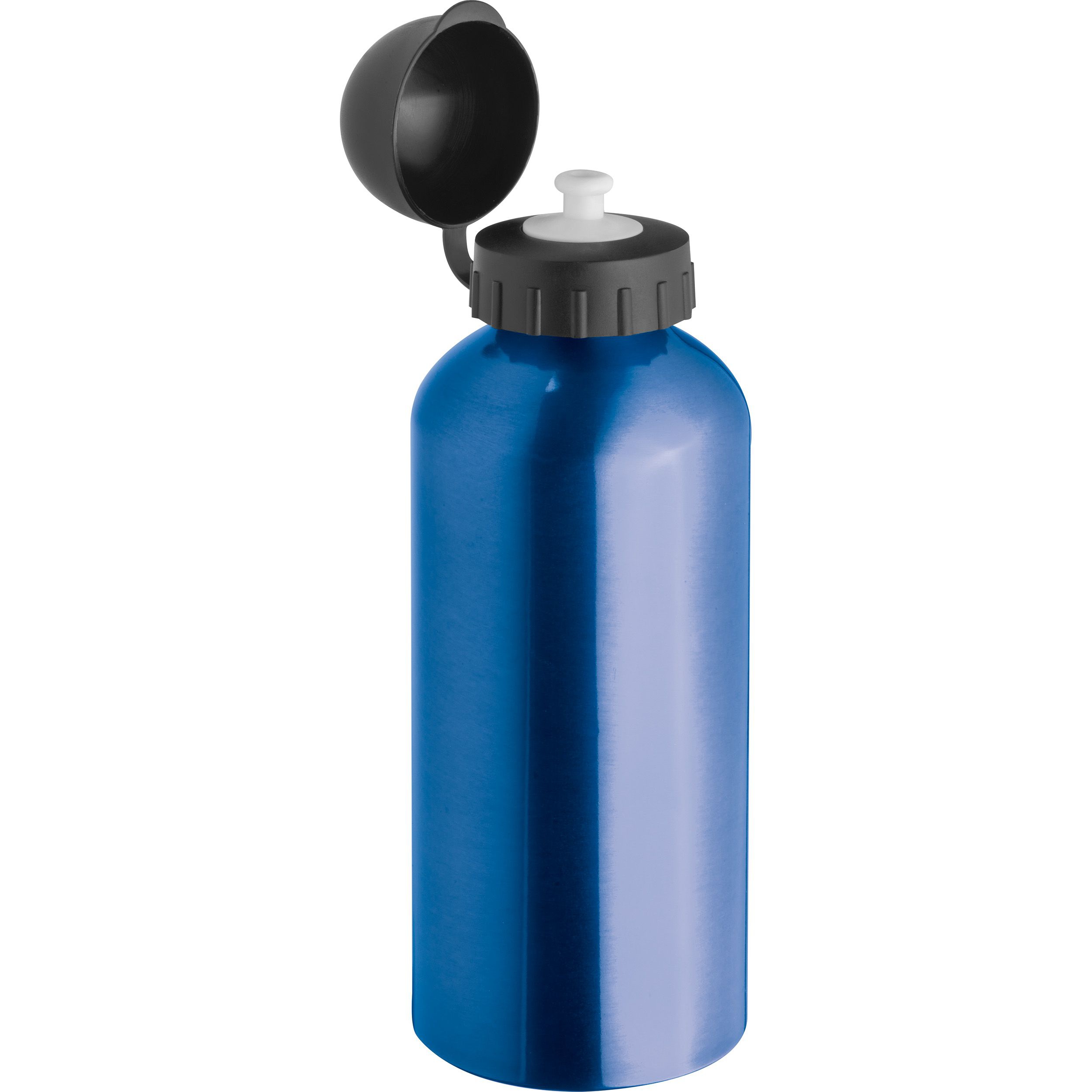 Trinkflasche aus Metall, 600ml, blau