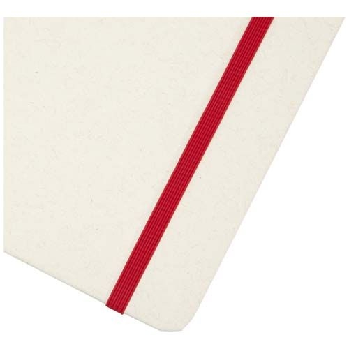PF107365-2Bass A5 recyceltes Notizbuch_ liniert_ rot