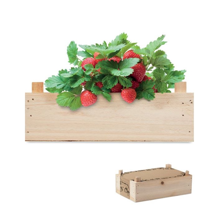 MO6506-40Strawberry Saat-Set Erdbeere_ holz