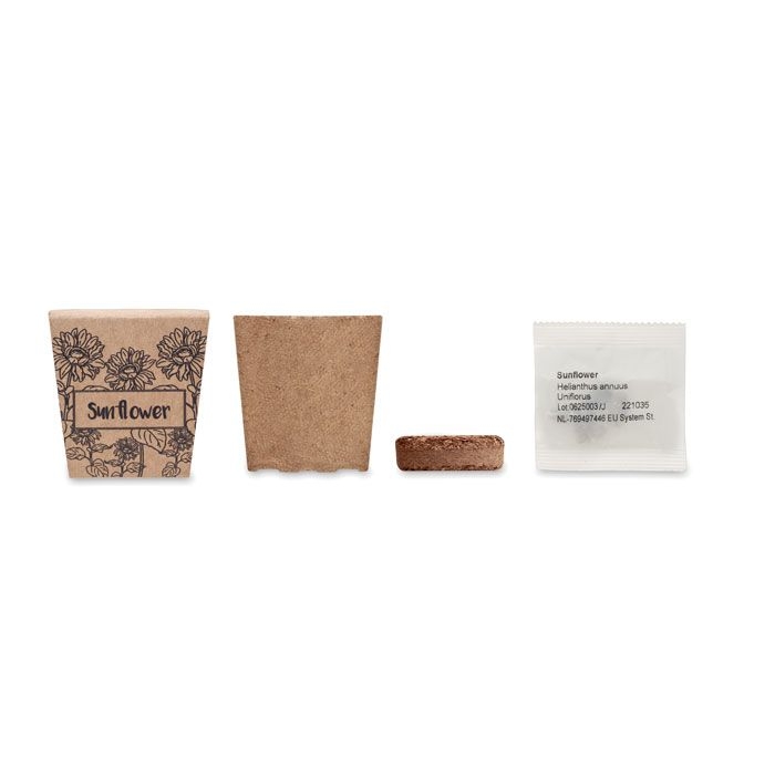 MO2411-13Sunflower Kit Pflanz-Set Sonnenblume_ beige