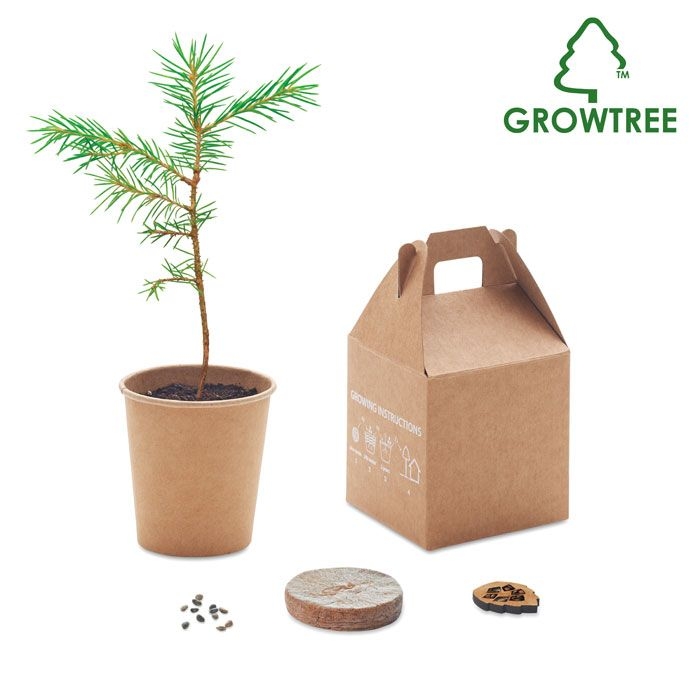 MO6228-13Growtree™ Kiefernsamen-Set_ Beige