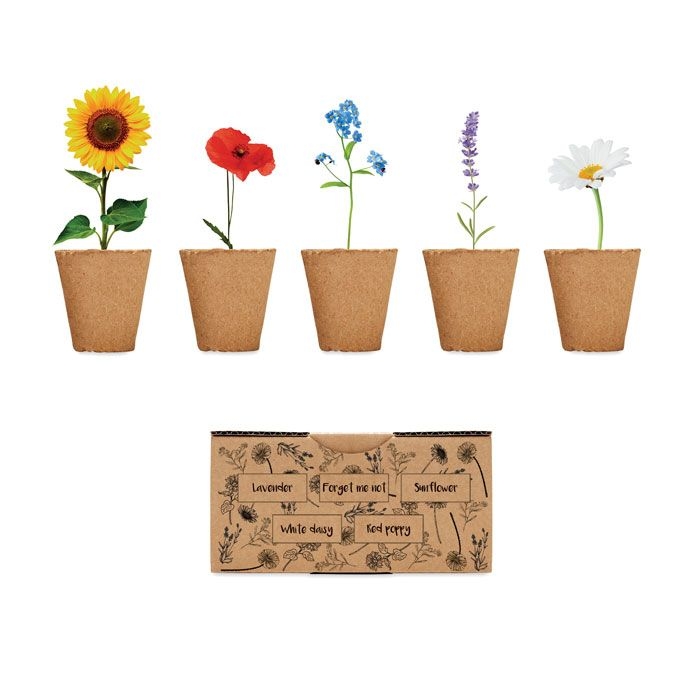 MO6500Flowers Saat-Set Sommerblumen