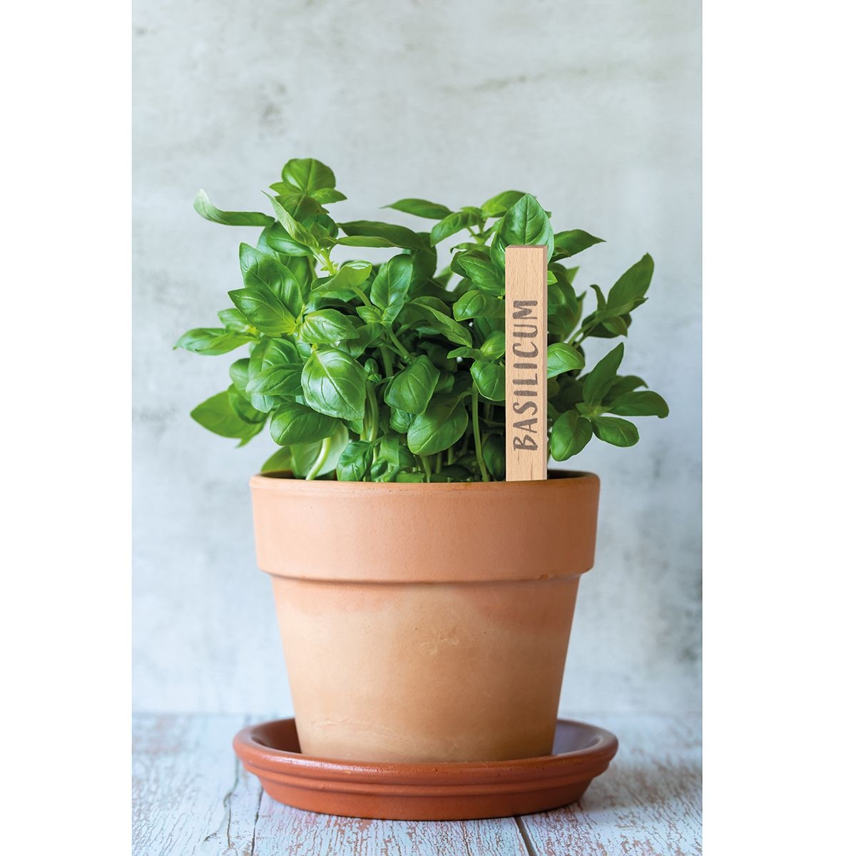 HE8661-S6Werbeartikel Ruehrholz_ beige