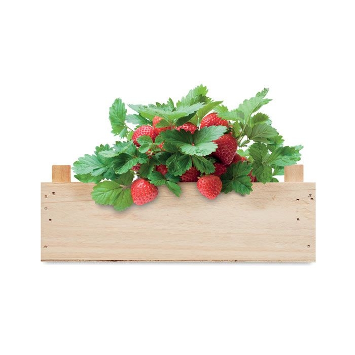 MO6506-40Strawberry Saat-Set Erdbeere_ Holz