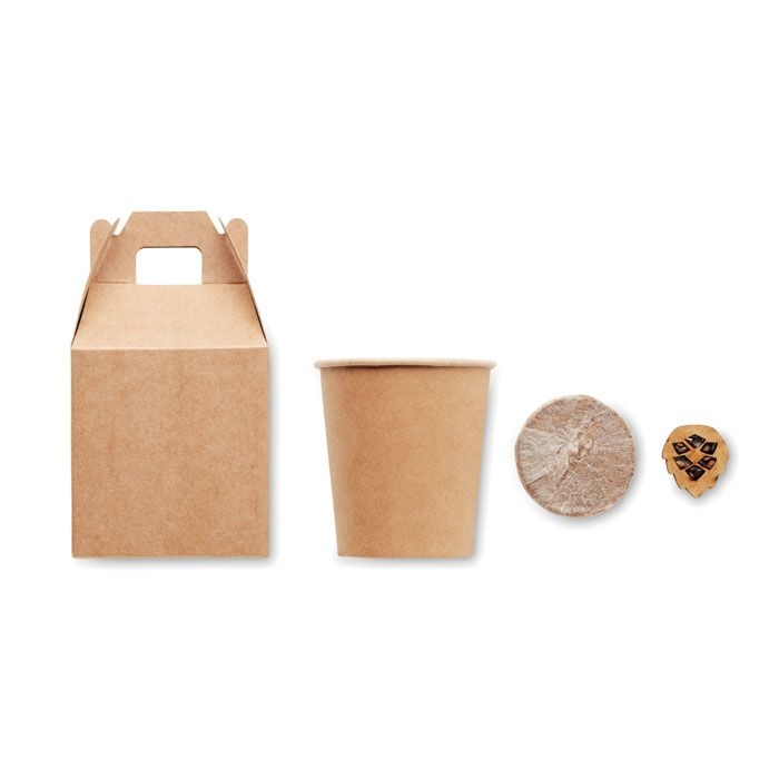 MO6228-13Growtree™ Kiefernsamen-Set_ Beige