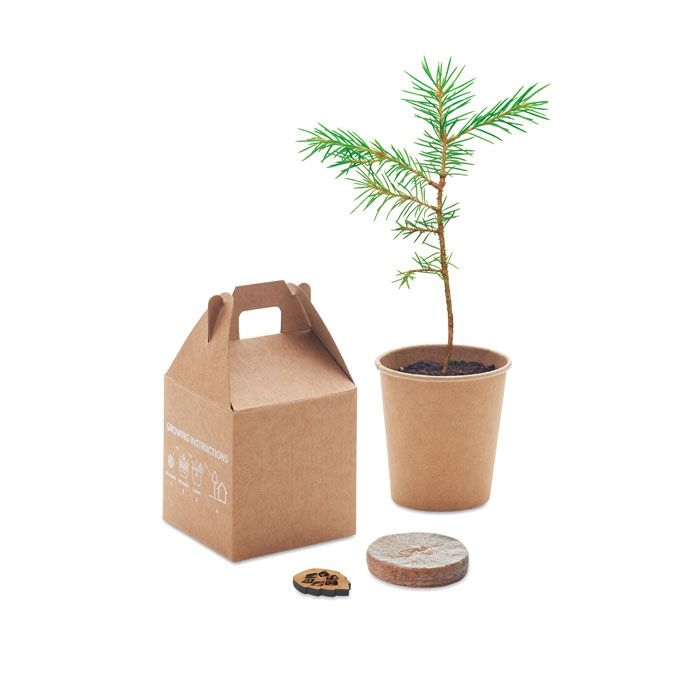 MO6228-13Growtree™ Kiefernsamen-Set_ Beige