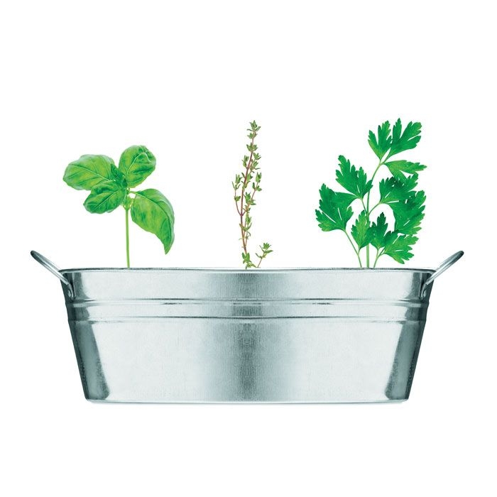 MO6497-16Mix Seeds Zink-Pflanzkuebel_ Mattsilber