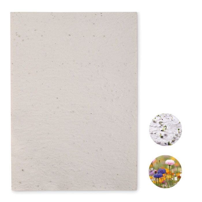 MO6914Asidi DIN A4 Wildblumen-Samenpapier