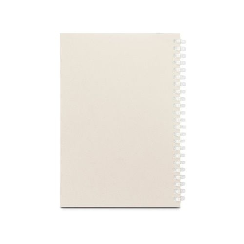 ST93665-123SCHILLER A5 Notizbuch_ hellgrau