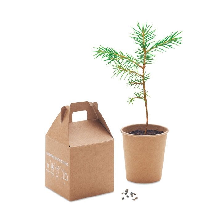 MO6228-13Growtree™ Kiefernsamen-Set_ Beige