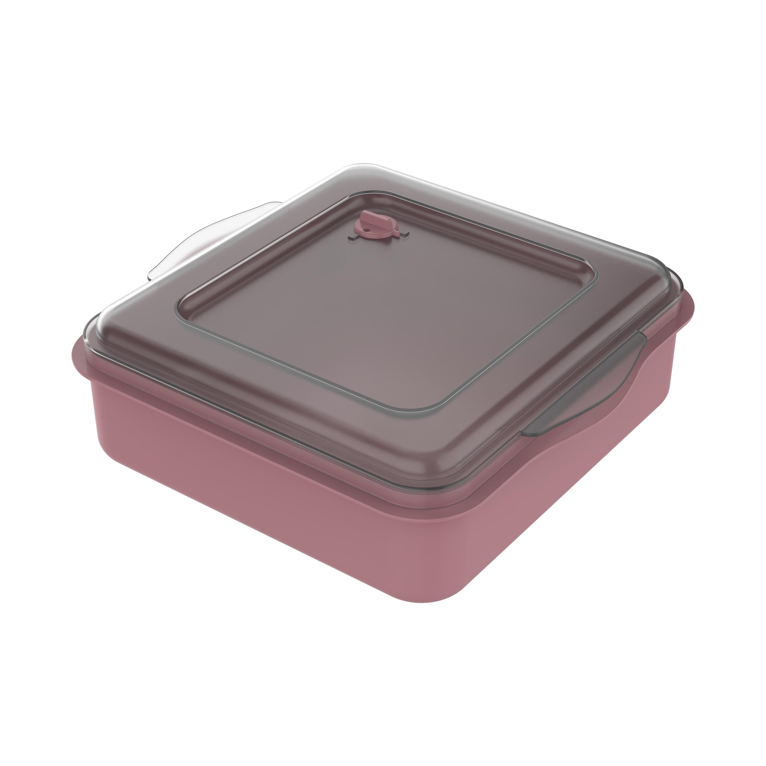 EL05200-5Universalbox „ToGo“_ raffiniertes rot_ transparent