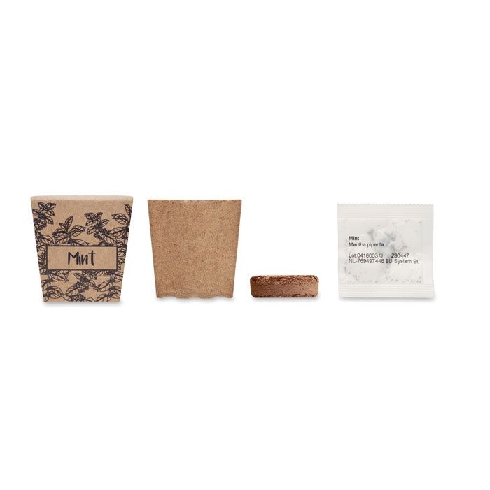 MO2410-13Mint Kit Pflanz-Set Minze_ beige