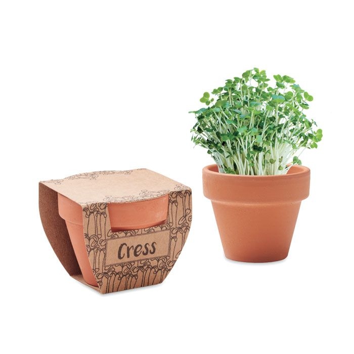 MO2219-40Cress Pot Terrakotta-Topf Kresse_ holz