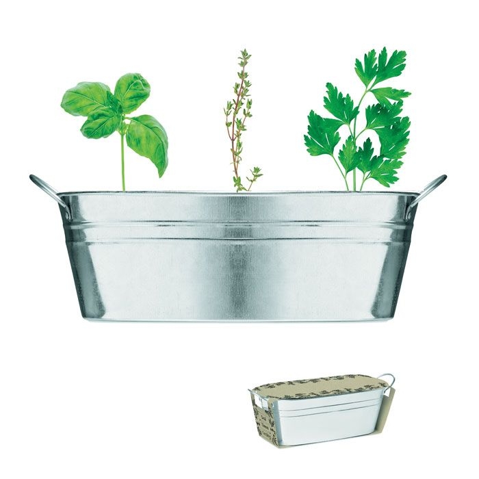 Mix Seeds Zink-Pflanzkübel