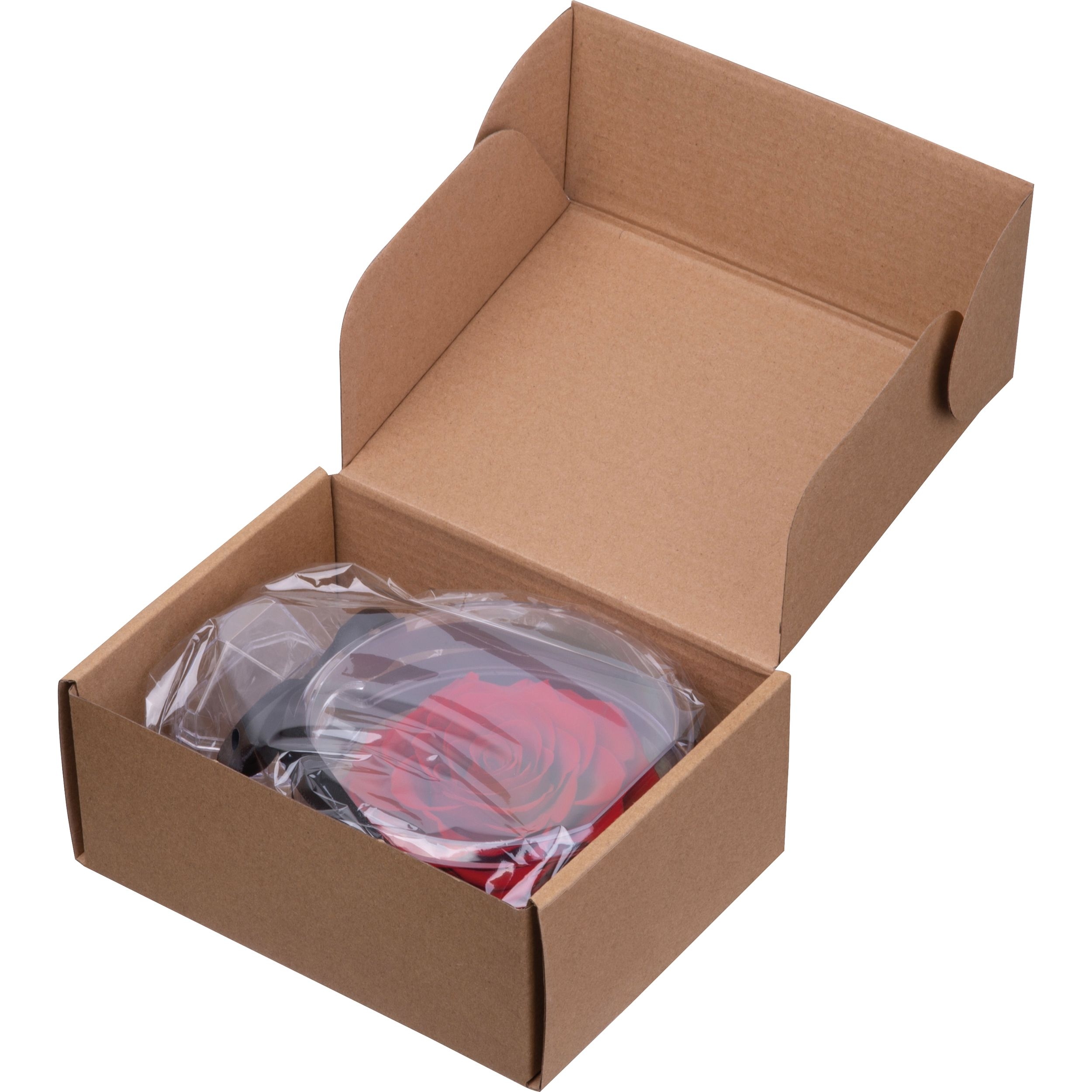 MA75427-05Konservierte Rose MARCELLA_ rot