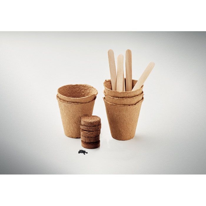 MO6500-13Flowers Saat-Set Sommerblumen_ Beige