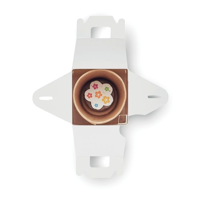 MO2223-99Fullhouse Saat-Set Kinder_ bunt