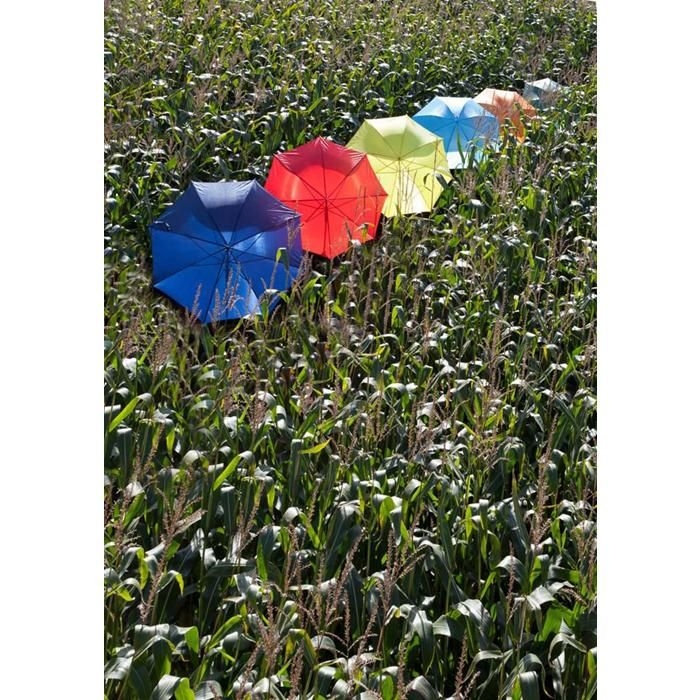 GI4064-02Automatik Stockschirm aus Polyester Andy_ weiss