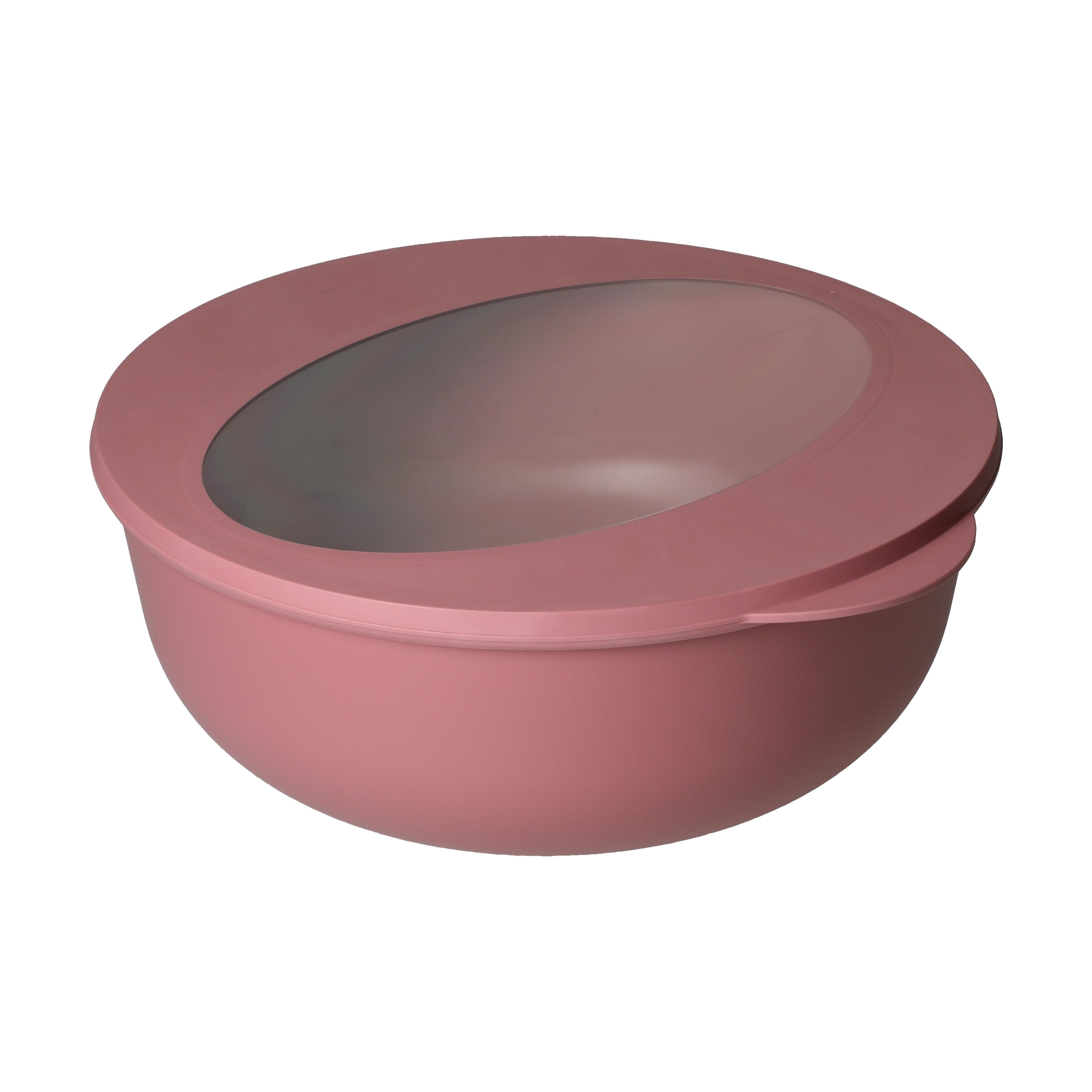 EL01965-4Food-Bowl _ToGo_ Deluxe_ 2_2 l_ raffiniertes rot_ transparent