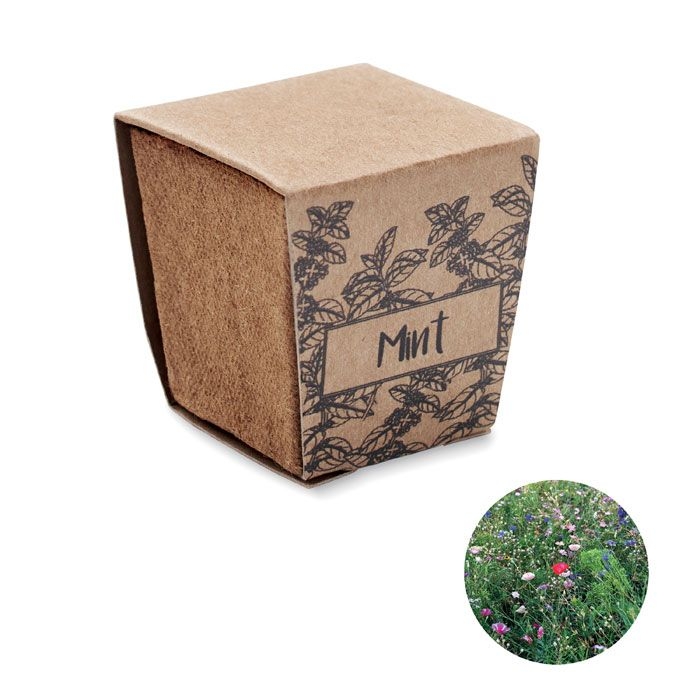 MO2410Mint Kit Pflanz-Set Minze