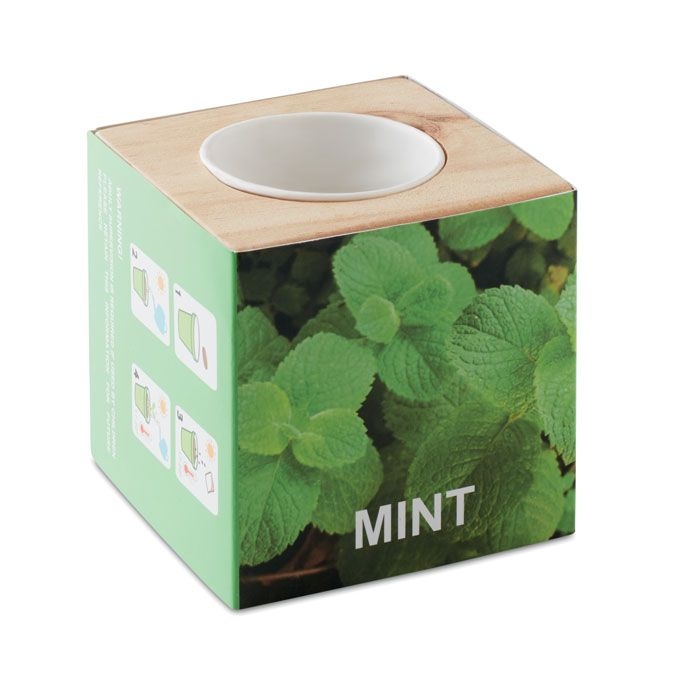 MO9337Menta Kraeuterpflanz-Set _Minze''