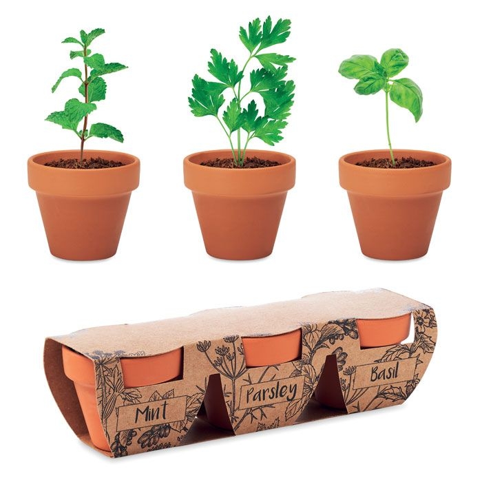 MO6145-40Flowerpot Terracotta-Set Kraeuter_ holz