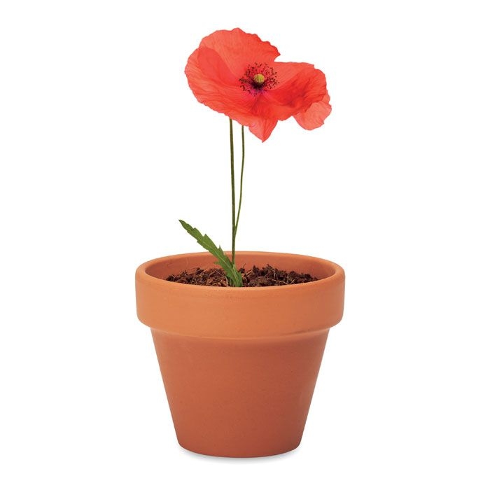 MO6148-40Red Poppy Terracotta-Topf Mohnblume_ Holz
