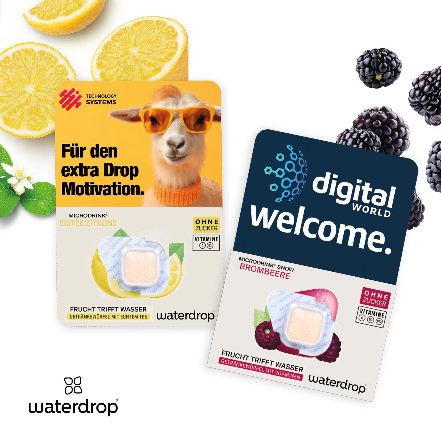 CD91671-01Werbekarte waterdrop®_ Brombeere