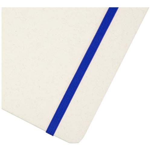 PF107365-3Bass A5 recyceltes Notizbuch_ liniert_ royalblau