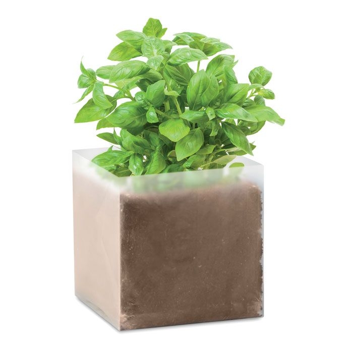 MO9545-13Basil Pflanz-Set _Basilikum_ beige