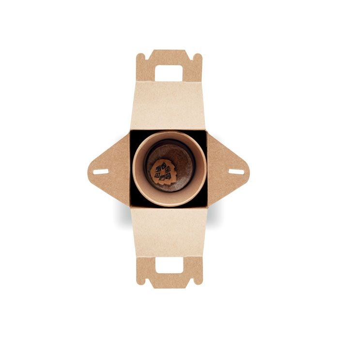 MO6228-13Growtree™ Kiefernsamen-Set_ Beige
