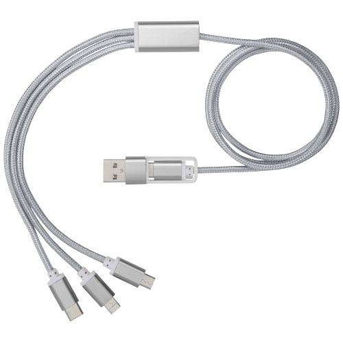 PF124180-3Versatile 5-in-1-Ladekabel_ silber
