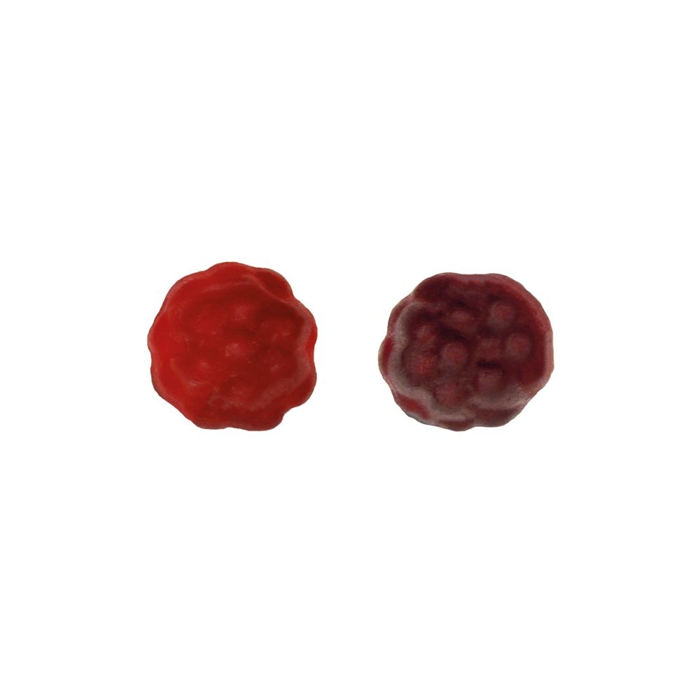 SW1433-1BIO Beerenfruechtchen vegan Werbetuete_BIO Beerenfruechtchen vegan_ Folie weiss