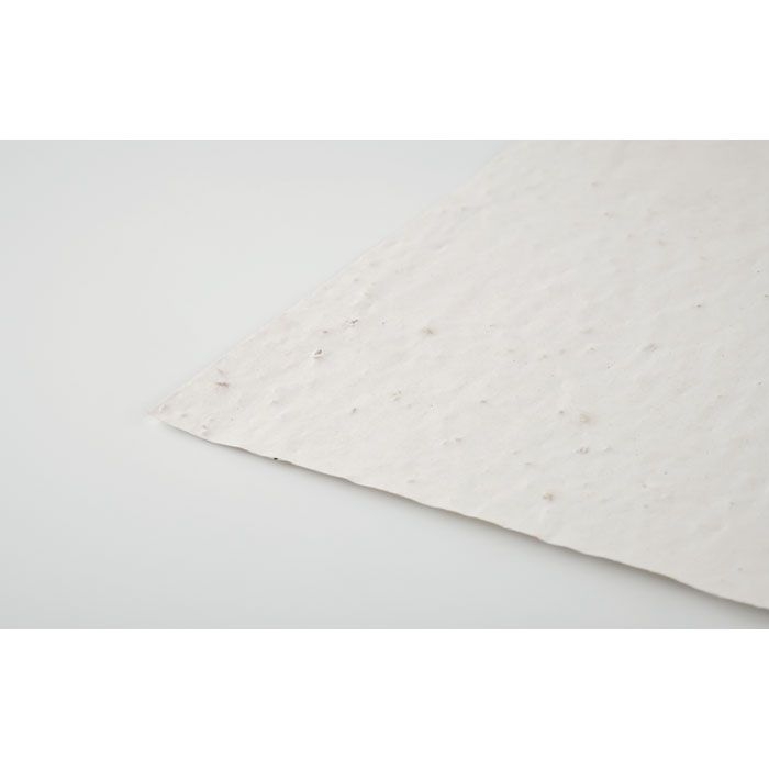MO6914-06Asidi DIN A4 Wildblumen-Samenpapier_ weiss