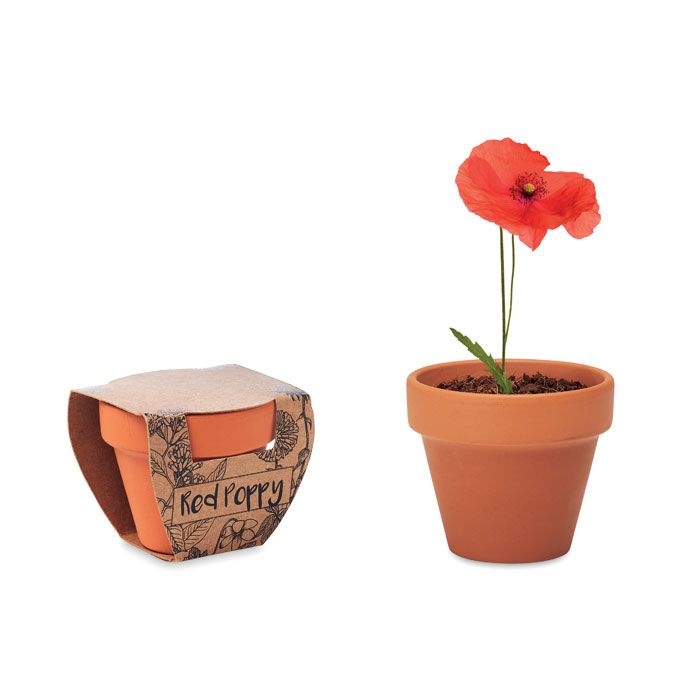 MO6148-40Red Poppy Terracotta-Topf Mohnblume_ Holz