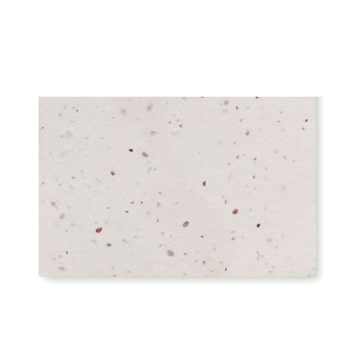 MO2993Asida Wildblumensamen-Visitenkarte