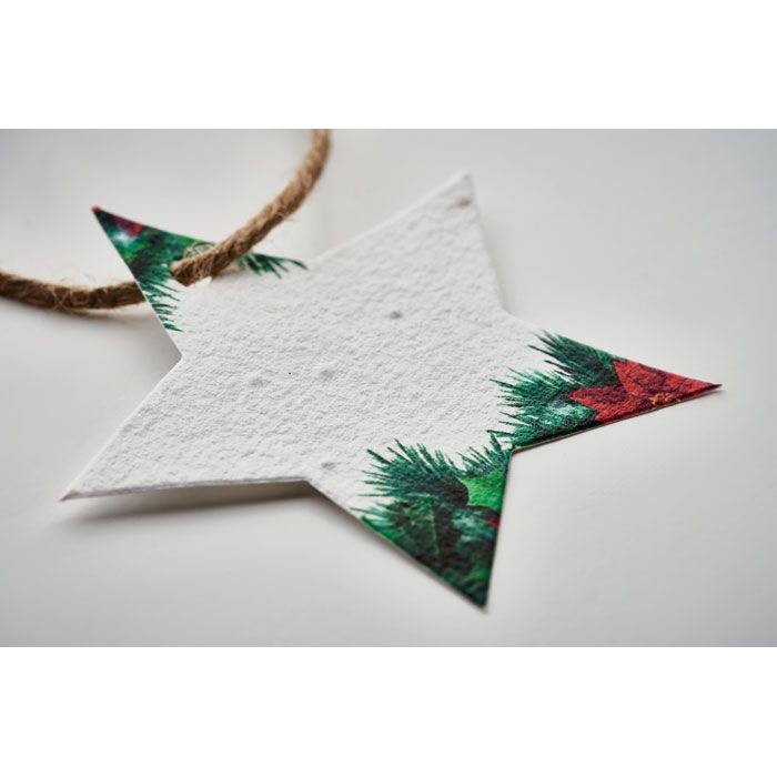 CX1516-06Starseed Weihnachtsschmuck Samenpapier_ weiss
