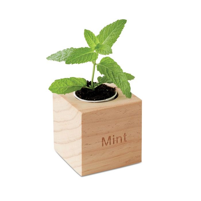 MO9337-40Menta Kraeuterpflanz-Set_ holz